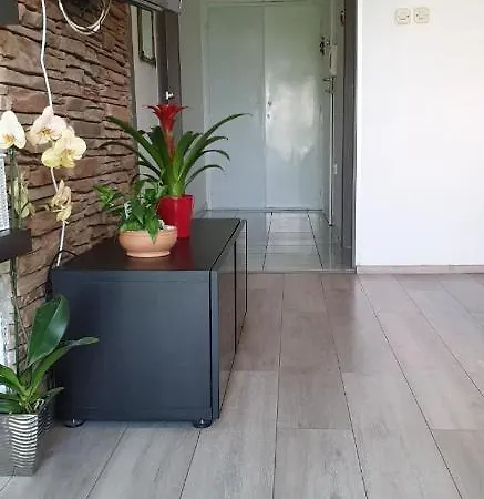 Apartment Igor Pula
